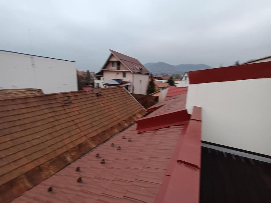 Old Town Studio 2 Apartment Nr 2 Nagybánya Kültér fotó