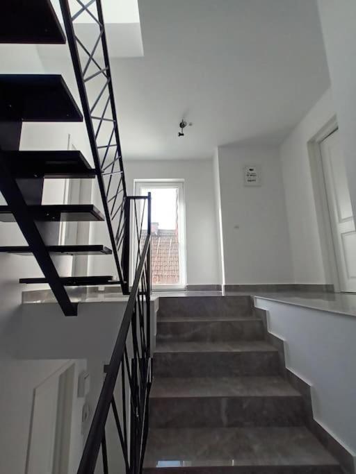 Old Town Studio 2 Apartment Nr 2 Nagybánya Kültér fotó