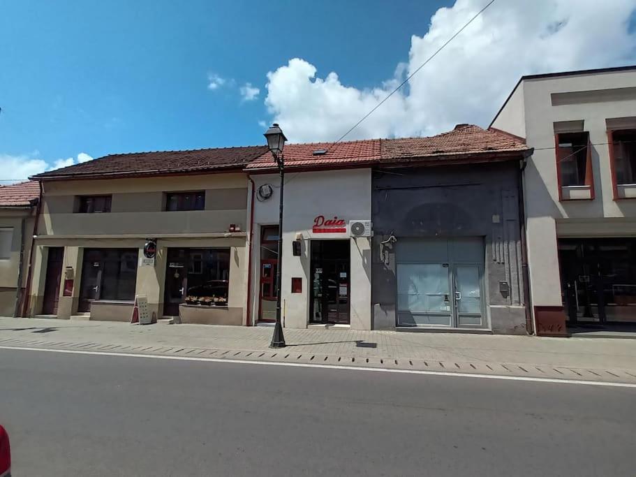 Old Town Studio 2 Apartment Nr 2 Nagybánya Kültér fotó