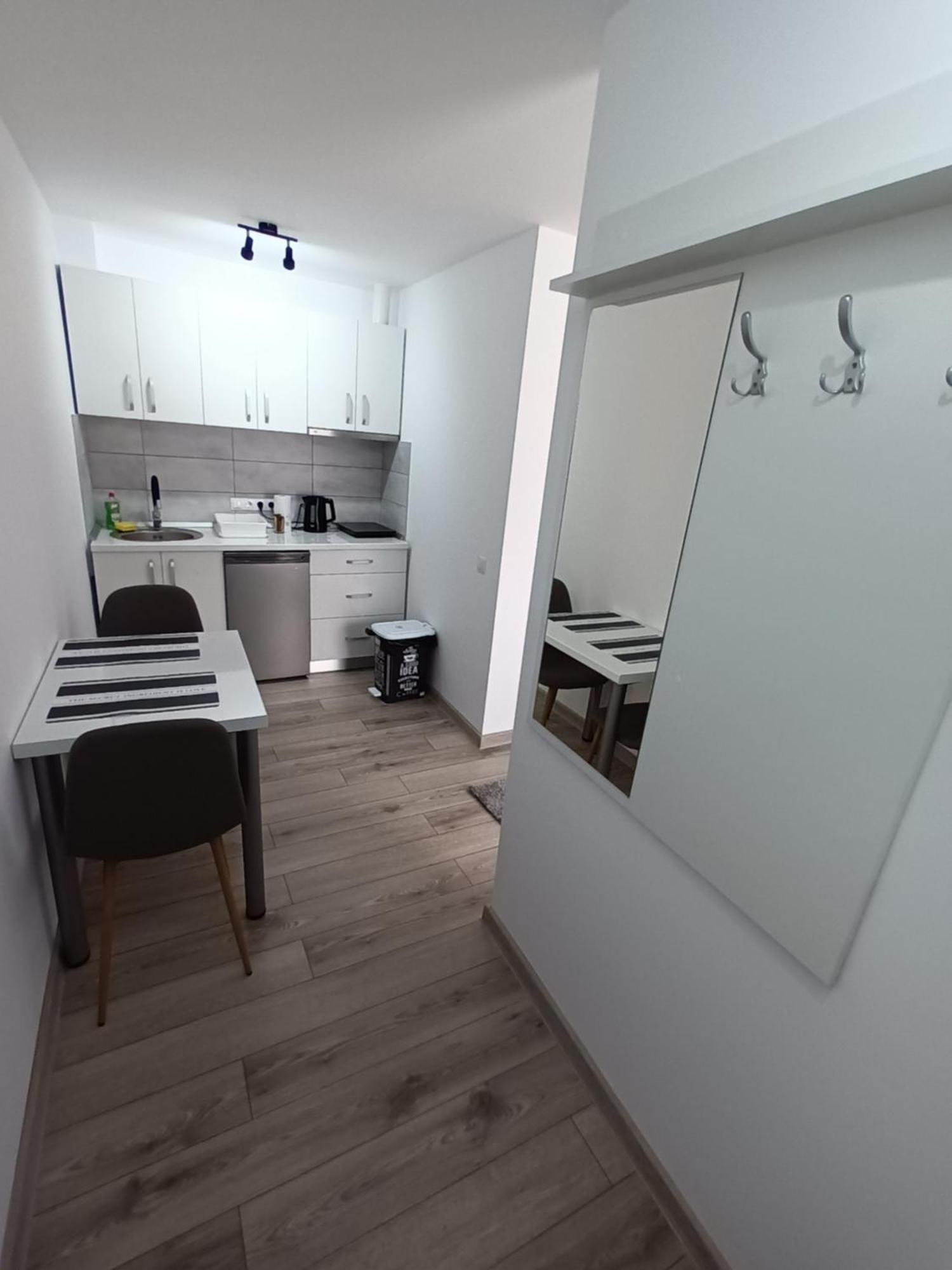 Old Town Studio 2 Apartment Nr 2 Nagybánya Kültér fotó